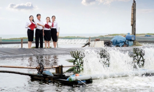 Agribank từng bước tiếp cận chuẩn mực quốc tế về trái phiếu xanh