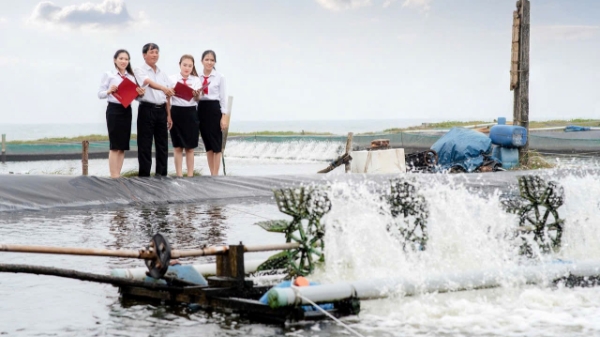 Agribank từng bước tiếp cận chuẩn mực quốc tế về trái phiếu xanh