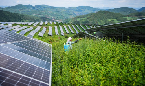“Lá chắn” giúp Trung Quốc vững vàng trước khủng hoảng năng lượng