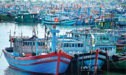 Giá dầu tăng mạnh, nhiều ngư dân “bỏ biển” chờ giải pháp