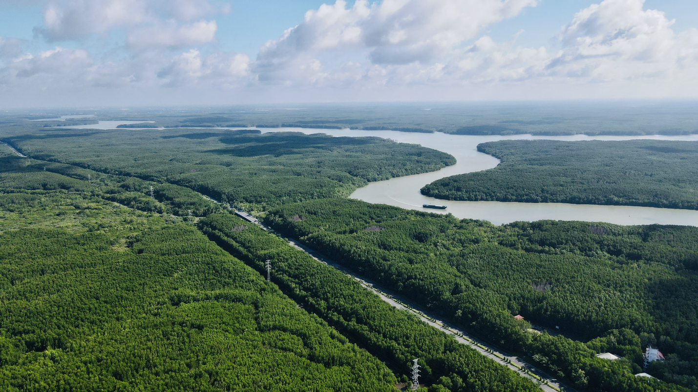 Khu dự trữ sinh quyển thế giới của Cần Giờ, chiếm toàn bộ hơn 1/2 toàn bộ Cần Giờ là rừng nguyên sinh được bảo tồn.