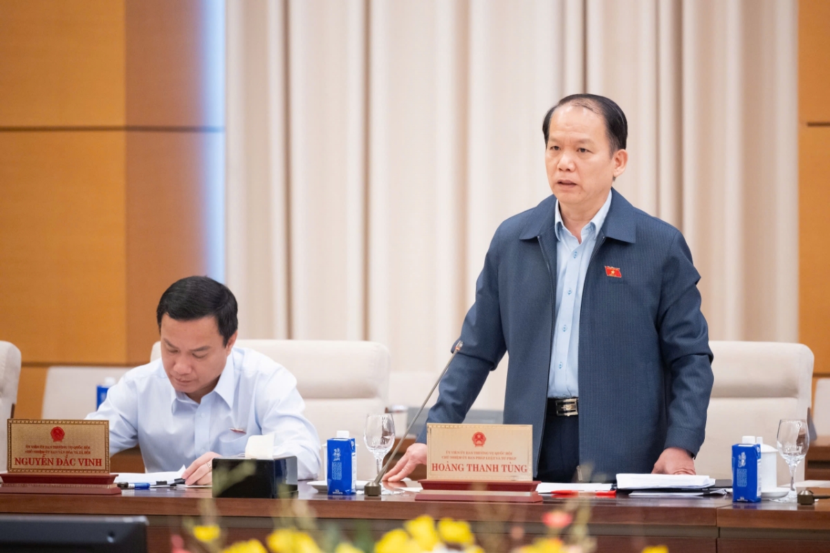 Chủ nhiệm Ủy ban Pháp luật và Tư pháp Hoàng Thanh Tùng phát biểu tại Phiên họp. Ảnh: Quốc hội.
