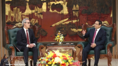 Vietnam maintains constructive cooperation with EU in combating IUU fishing: PM