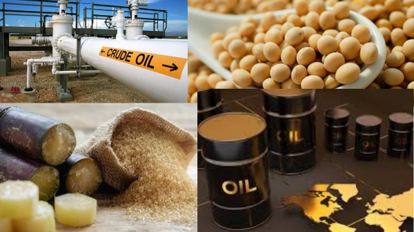 Tác động của phong tỏa Eo biển Hormuz đến xuất khẩu nông sản Việt Nam