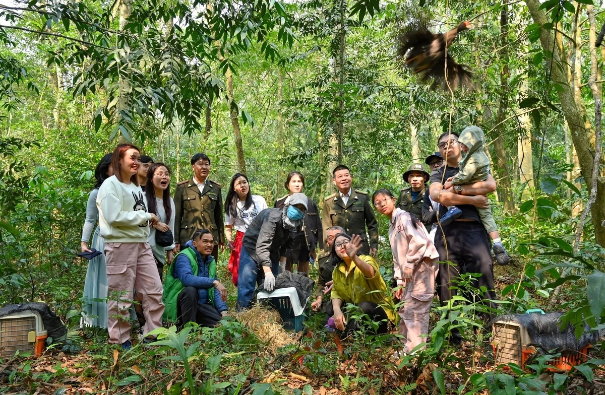 Vườn quốc gia Cúc Phương hướng tới việc trở thành một hệ sinh thái rừng đặc dụng hoàn thiện, nơi các chuỗi thức ăn và tương tác sinh học được phục hồi hoàn toàn. Ảnh: VQG Cúc Phương