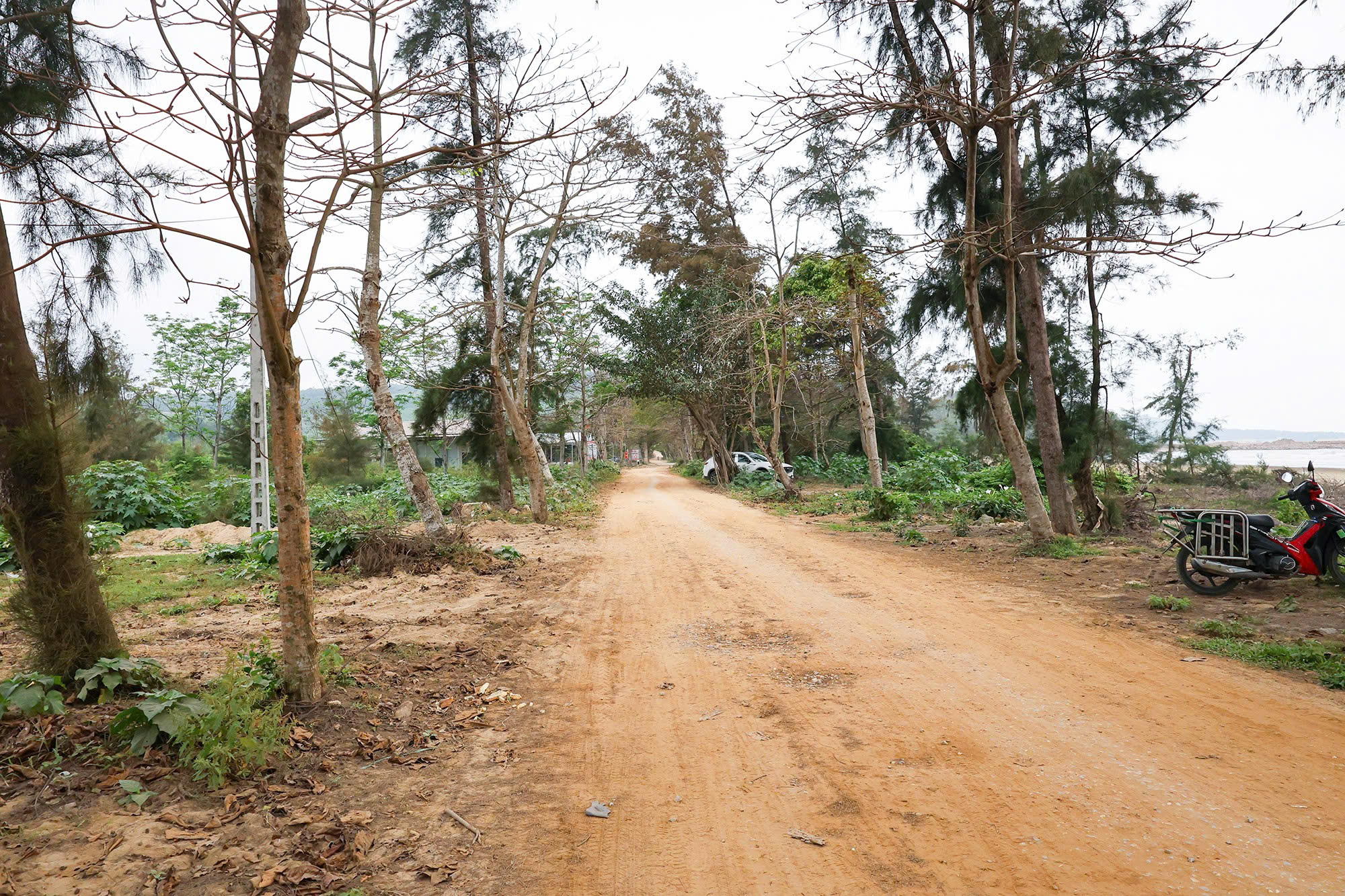 Khu vực dự kiến sẽ tổ chức Lễ động thổ dự án Nhà máy Nhiệt điện LNG Quỳnh Lập