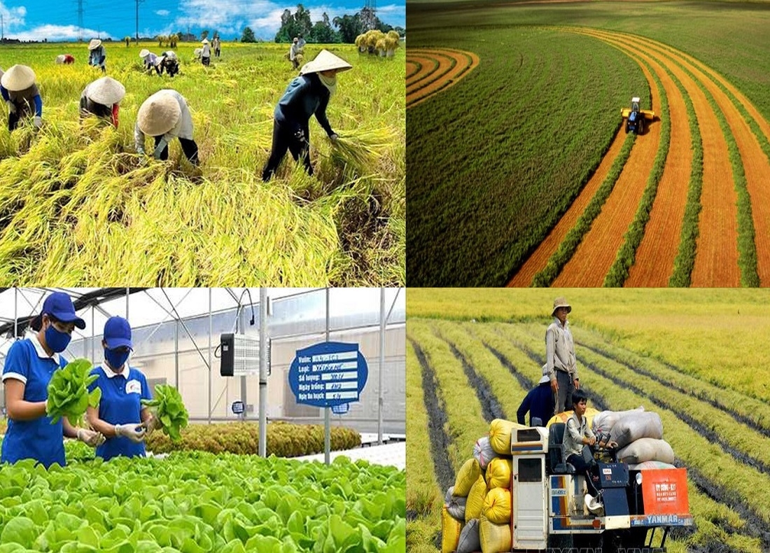 Nông nghiệp Việt Nam hướng tới tương lai bền vững.