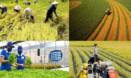 Nông nghiệp Việt Nam hướng tới tương lai bền vững.