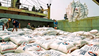 Trade ministry issues decree on strengthening rice production and exports
