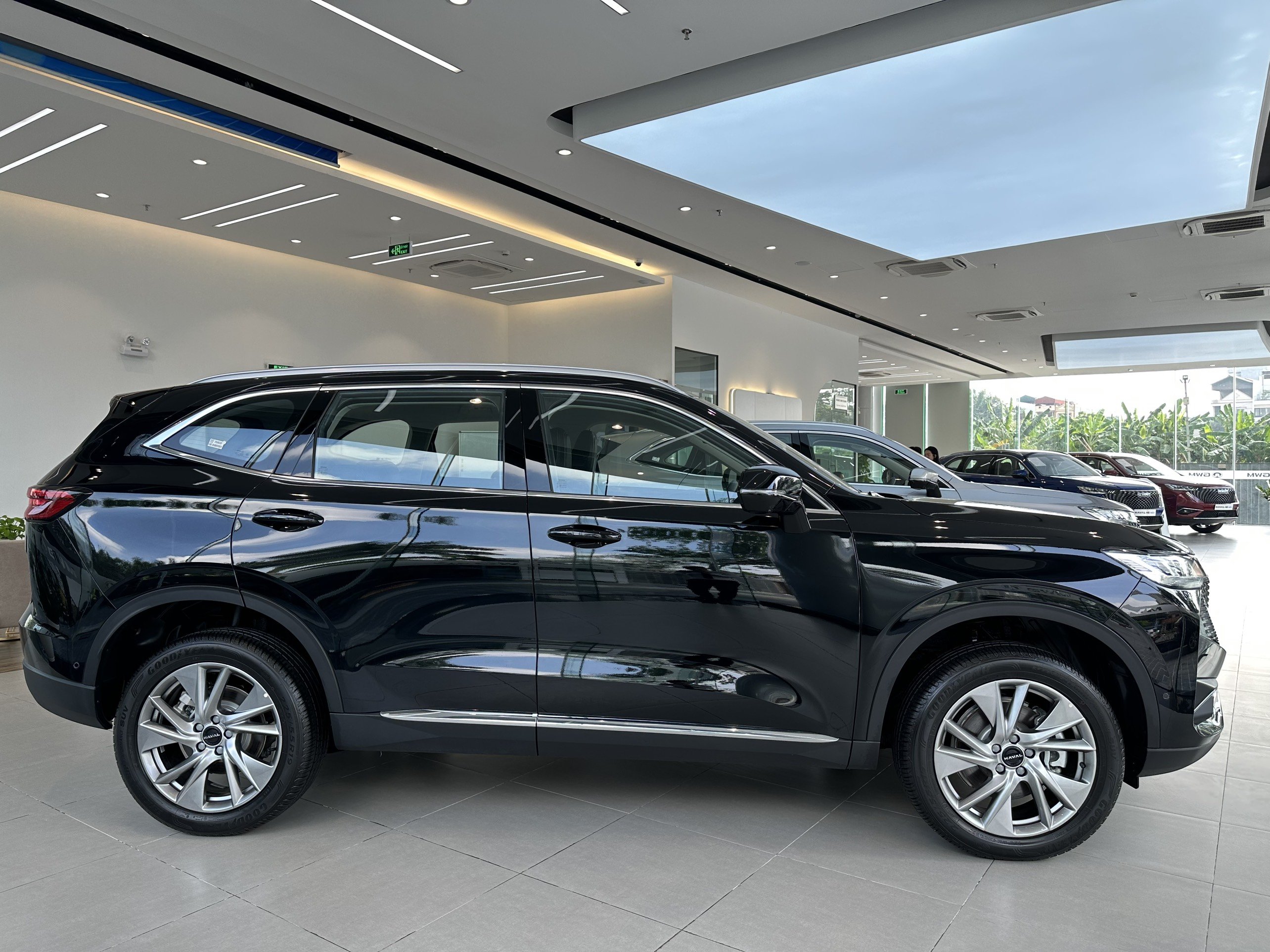 Việc xe nhập khẩu ngày càng 