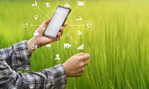 Thúc đẩy ứng dụng Blockchain và AI trong minh bạch và nâng cao giá trị nông sản