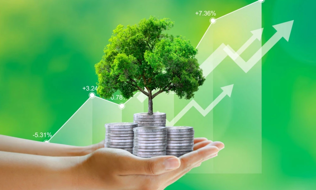 Hơn 600 triệu USD hỗ trợ dự án chuyển đổi xanh, tăng trưởng xanh