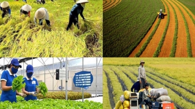 Vietnam’s agriculture sector in face of Middle East conflicts