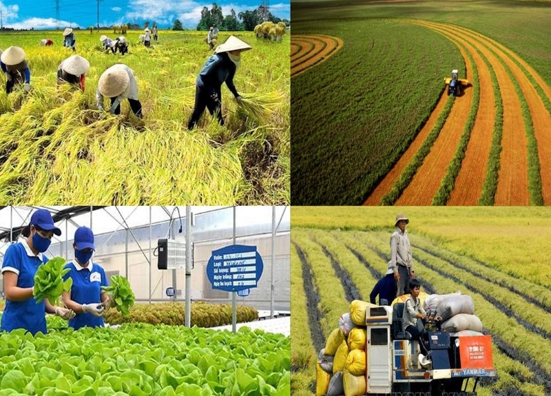 Vietnam’s agriculture sector in face of Middle East conflicts