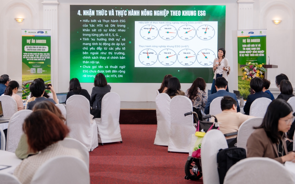 Một trong những phát hiện quan trọng của báo cáo là tài chính xanh vẫn chưa tiếp cận được nhóm hợp tác xã và doanh nghiệp nhỏ. Ảnh: MSD