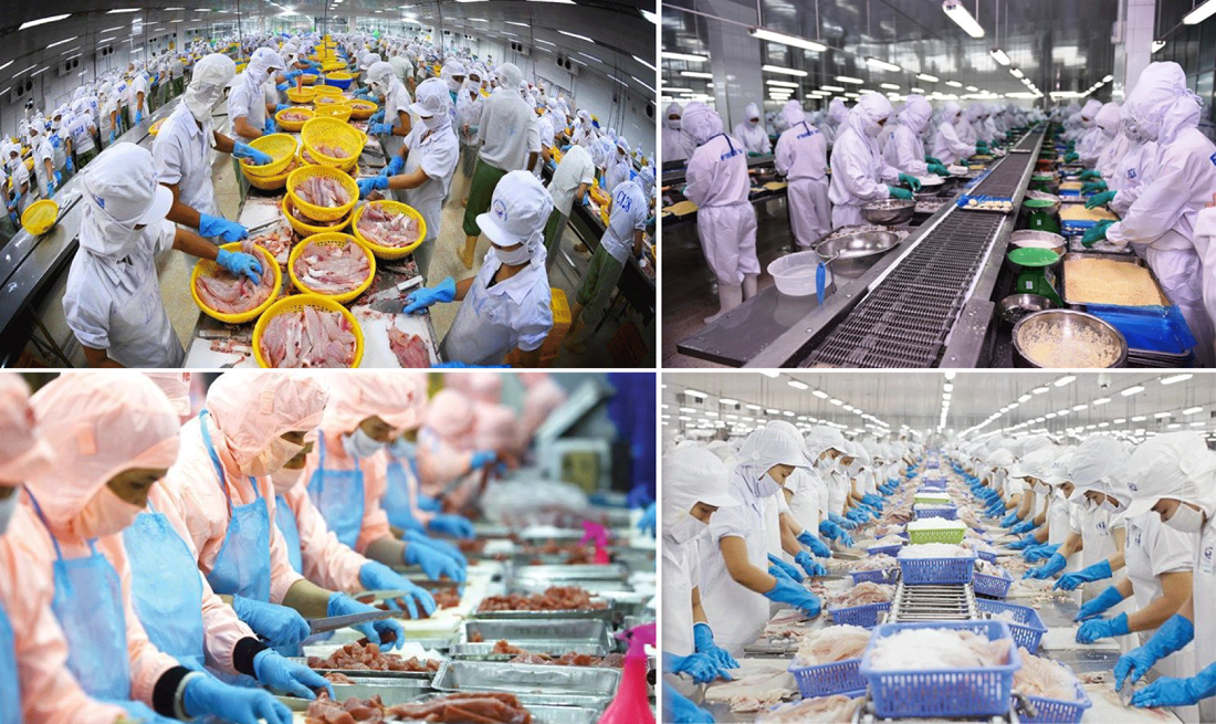 Năm 2025, xuất khẩu thủy sản Việt Nam đạt khoảng 11,3 tỷ USD, tăng hơn 12% so với năm trước. Ảnh minh họa.