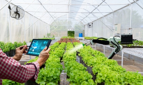 Đề xuất công nghệ phát triển nông nghiệp và môi trường tuần hoàn, xanh, giảm phát thải