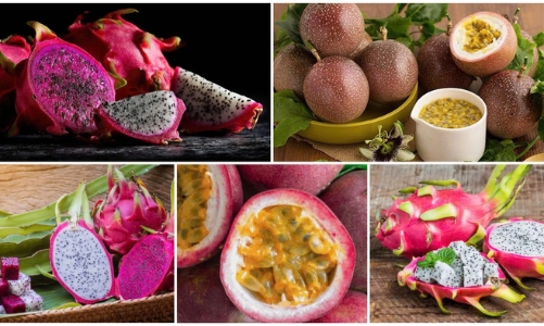 Chanh leo, thanh long Việt Nam đối diện nguy cơ bị EU siết chặt kiểm soát