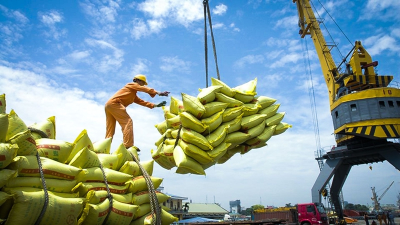 Tình hình thế giới và khu vực đang diễn biến phức tạp tác động đến cung cầu và giá gạo.