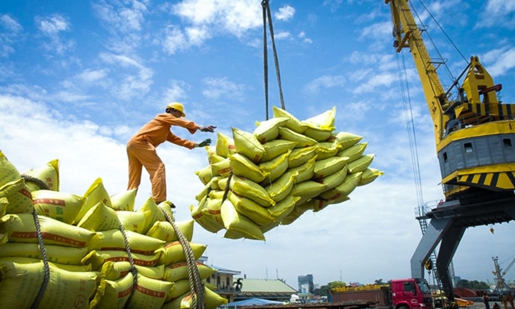 Tình hình thế giới và khu vực đang diễn biến phức tạp tác động đến cung cầu và giá gạo.