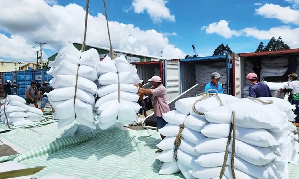 Senegal: Thị trường Tây Phi tiềm năng cho gạo Việt Nam
