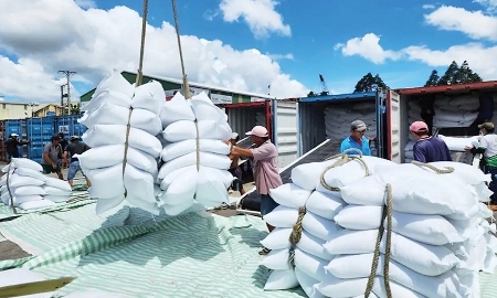 Năm 2025, xuất khẩu gạo của Việt Nam sang thị trường Senegal tăng gần 30 lần so với năm 2024. Ảnh minh họa.