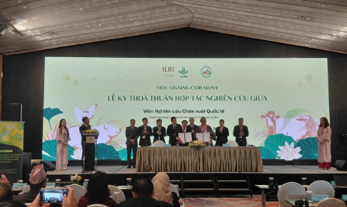 Chuyển đổi chăn nuôi bền vững: Động lực cho hệ thống lương thực tương lai