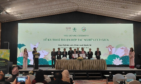 Lễ ký kết thoả thuận hợp tác giữa các tổ chức quốc tế và các đơn vị tại Việt Nam. Ảnh: Chu Khôi.