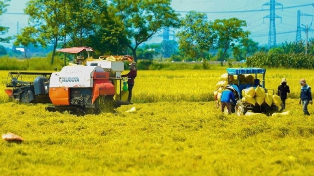 2026 rice export promotion conference set to open in Can Tho