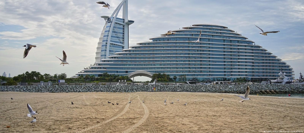 Những con mòng biển nô đùa trước khách sạn hạng sang mới nhất của Dubai, Jumeirah Marsa Al Arab, như thể chúng đang tận hưởng bãi biển một mình.