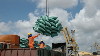 Vietnam exports 1.74mln tons of rice as of March 15