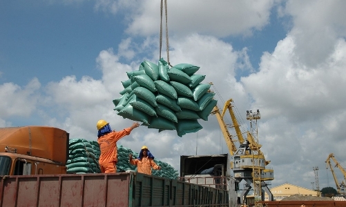 Vietnam exports 1.74mln tons of rice as of March 15