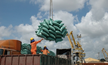 Đến hết ngày 15/3/2026, xuất khẩu gạo của Việt Nam đạt khoảng 1,74 triệu tấn.