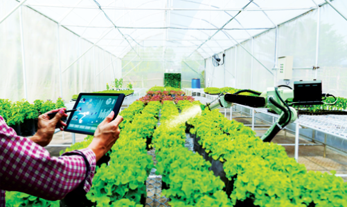 Bài 2: Hệ sinh thái phát triển có chủ đích và cấu trúc quyền lực kinh tế