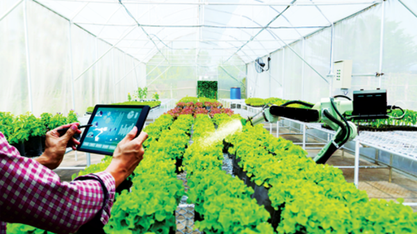 [Bài 2] Hệ sinh thái phát triển có chủ đích và cấu trúc quyền lực kinh tế