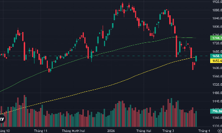 VN-Index đã phục hồi vượt trở lại lên trên đường MA200 ngày (màu vàng).