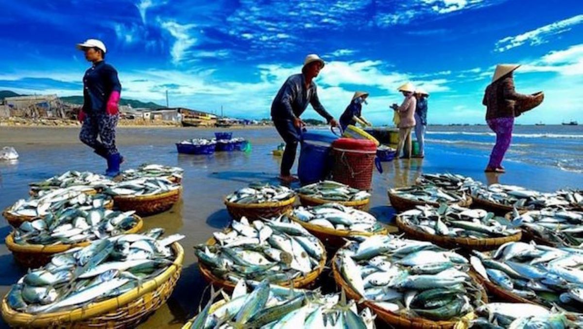 Xuất khẩu hải sản vẫn duy trì được đà tăng trưởng mạnh.
