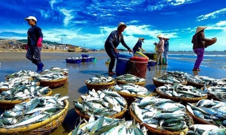 Xuất khẩu hải sản vẫn duy trì được đà tăng trưởng mạnh.