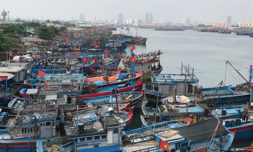 Tàu cá của các tỉnh miền Trung, neo đậu tại Âu thuyền Thọ Quang-Đà Nẵng. Ảnh Ngô Anh Văn.