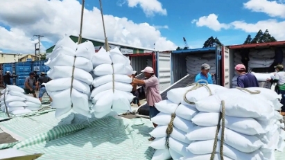 Senegal emerges as a promising hub for Vietnamese rice exports in West Africa