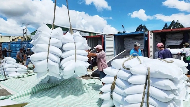 Senegal emerges as a promising hub for Vietnamese rice exports in West Africa