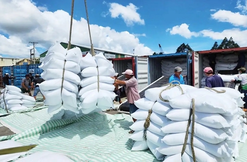 Senegal emerges as a promising hub for Vietnamese rice exports in West Africa