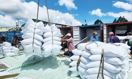 Senegal emerges as a promising hub for Vietnamese rice exports in West Africa