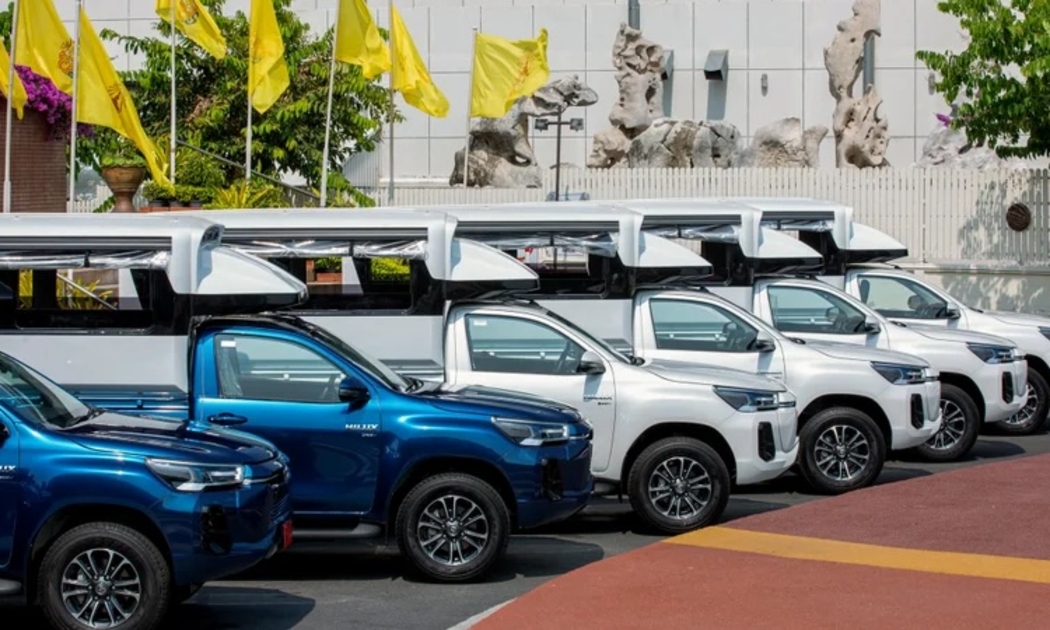 Sống sót hay bị đào thải: Cuộc 