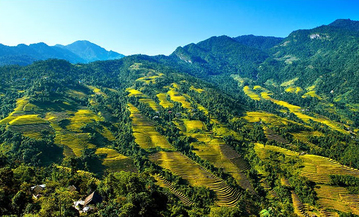 Đến nay Việt Nam có tổng số 36 Vườn quốc gia. Ảnh minh họa