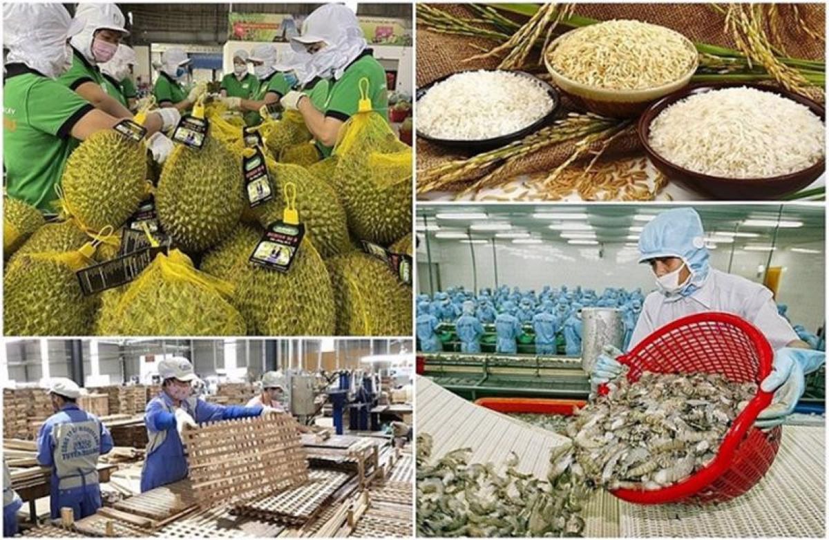 Trong giai đoạn 2026 - 2030, ngành nông, lâm, thủy sản phấn đấu tăng trưởng kim ngạch xuất khẩu từ 8-12%/năm. Ảnh minh họa.