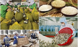 Ngành nông nghiệp chủ động thích ứng với biến động, giữ nhịp tăng trưởng 