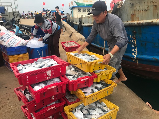 Ngư dân đặc khu Lý Sơn sau chuyến đánh bắt hải sản vận chuyển về cảng cá. Ảnh Ngô Anh Văn