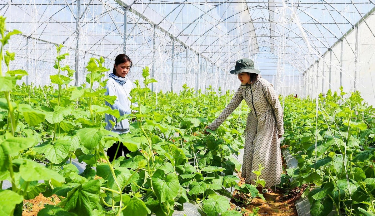 Nhu cầu chuyển đổi xanh là có thật và ngày càng cấp thiết, khi nền kinh tế phải thích ứng với các tiêu chuẩn môi trường toàn cầu. Ảnh minh họa