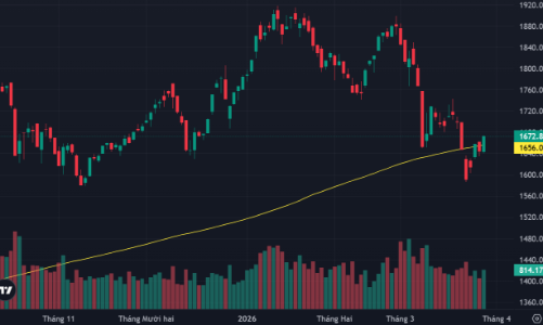 VN-Index tăng mạnh nhất thế giới, cổ phiếu midcap bùng nổ